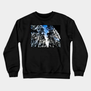 Blue skies and trees at Swinley Forest Crewneck Sweatshirt